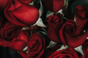 Combatting Your Libido With BHRT